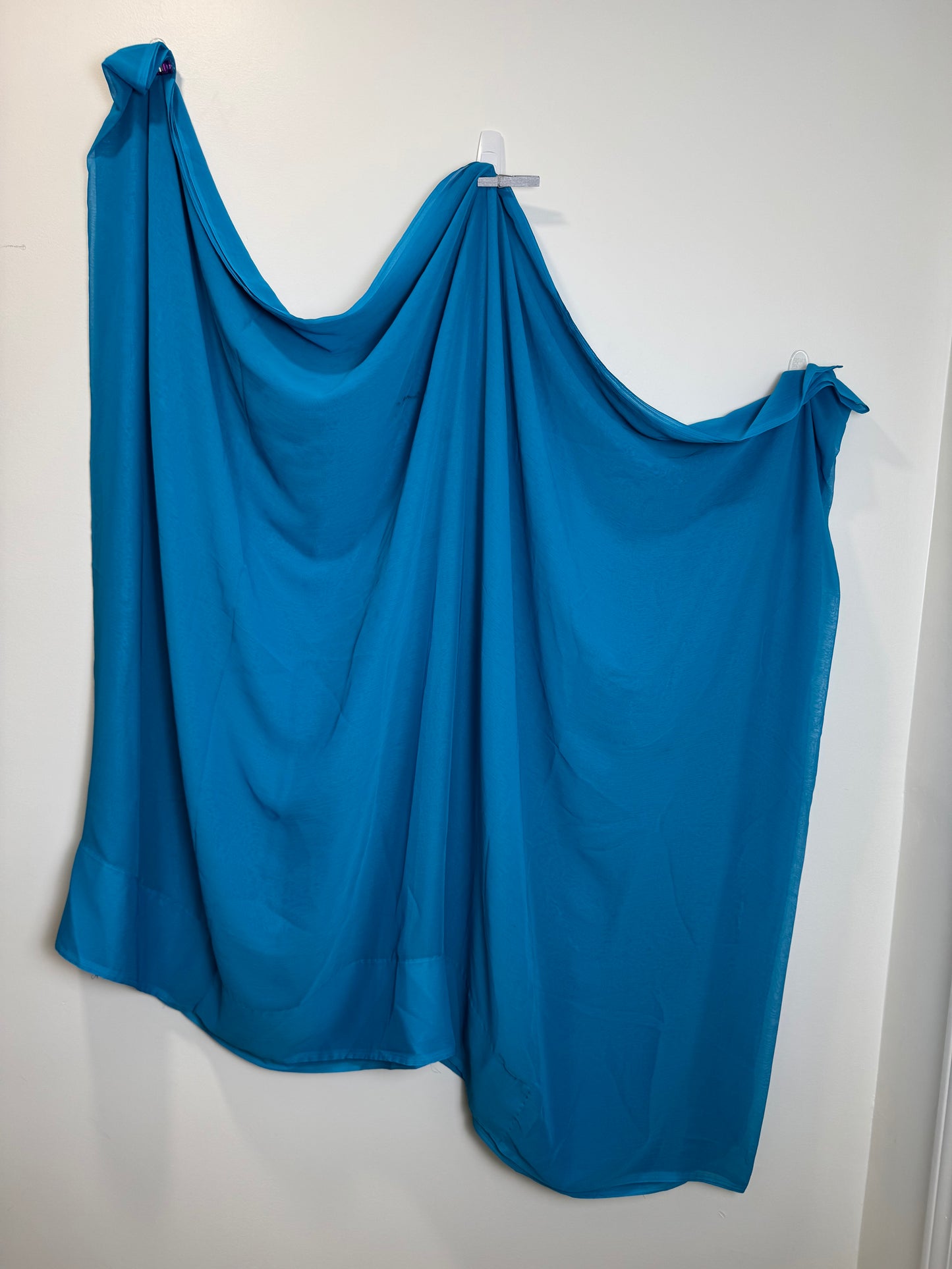 Blue Sari