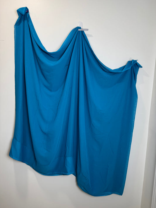 Blue Sari