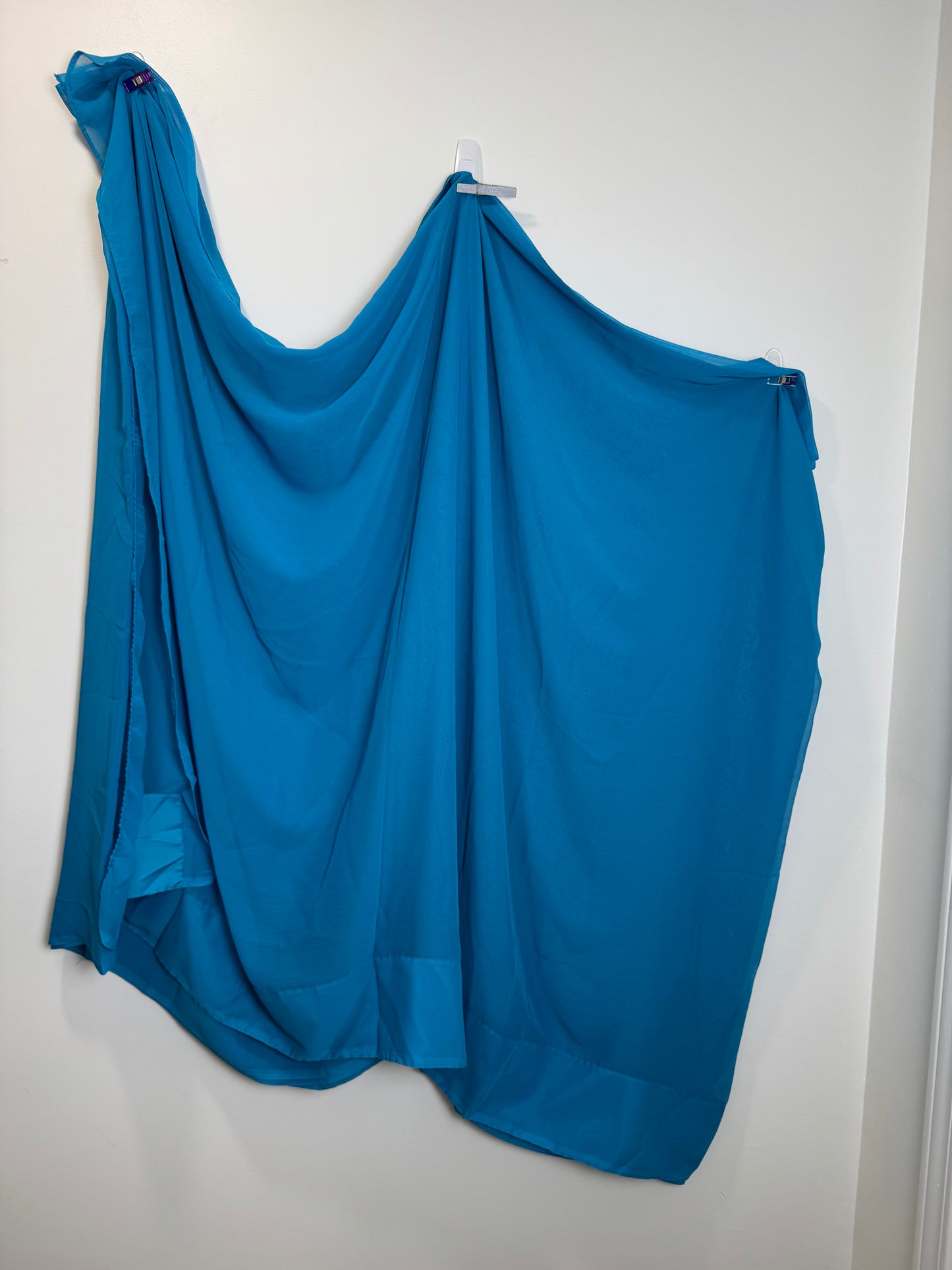 Blue Sari