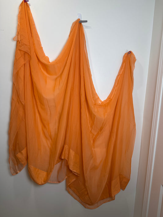 Orange Sari